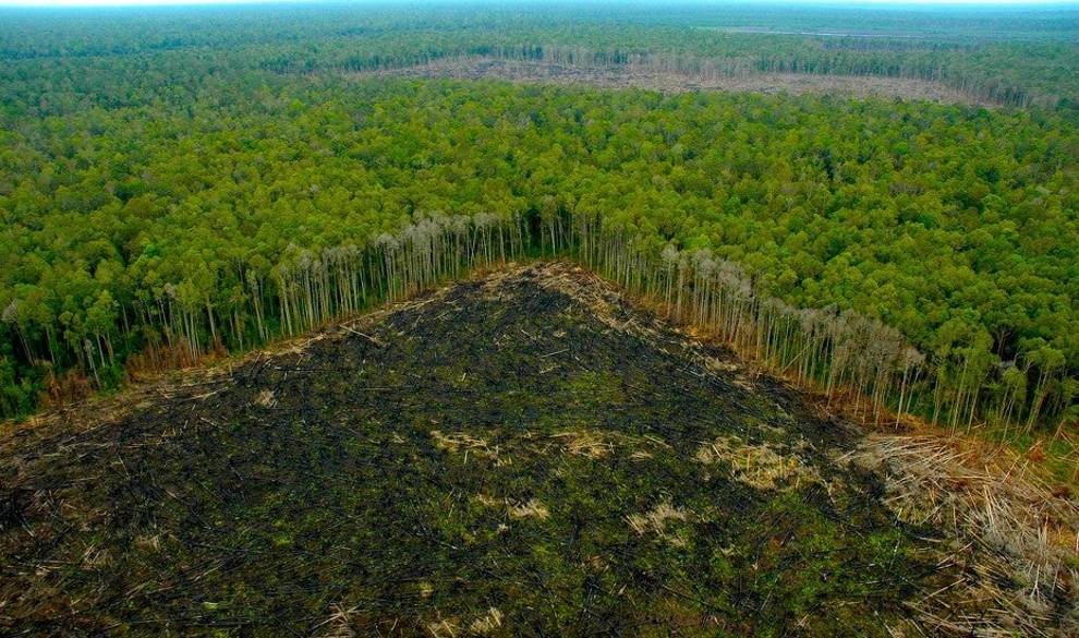 Un tercio de los espacios protegidos del planeta están en peligro