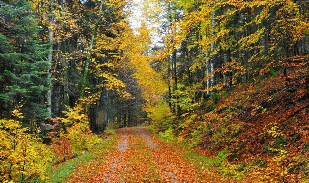 Los 5 rincones más mágicos para disfrutar del otoño en todo su esplendor