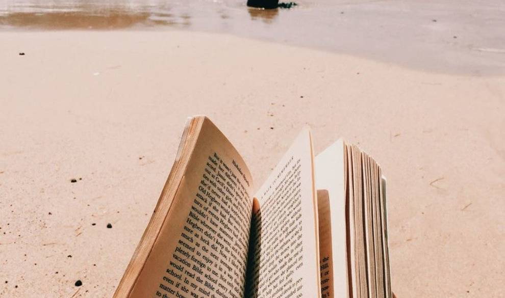 Libros perfectos para leer bajo una buena sombra este verano