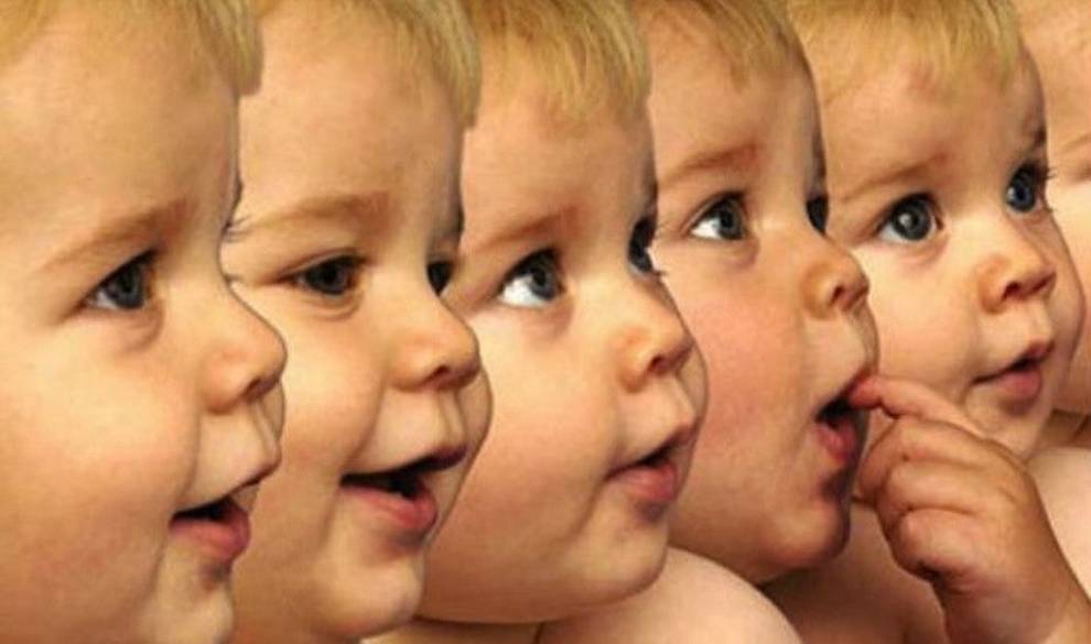 Tener Tres Progenitores: ¿El Nuevo Milagro De La Ciencia?