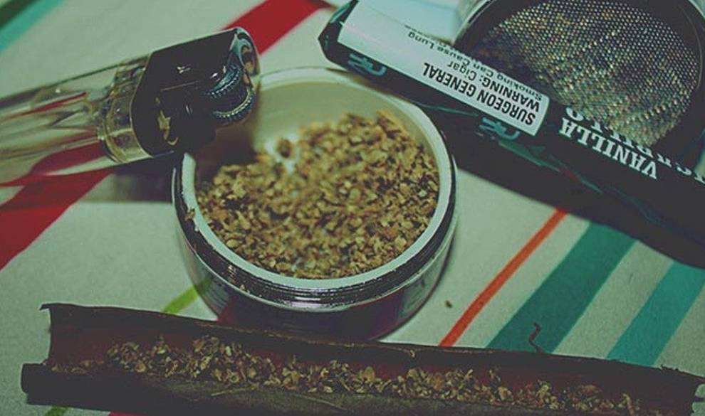 Infografía: 10 Curiosidades Sobre El Cannabis