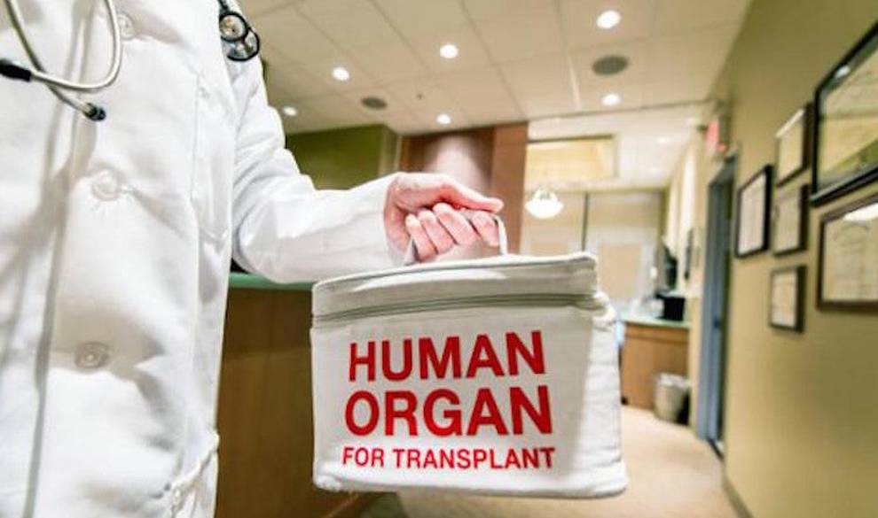 Holanda aprueba una ley que convierte a todos sus ciudadanos en donantes de órganos