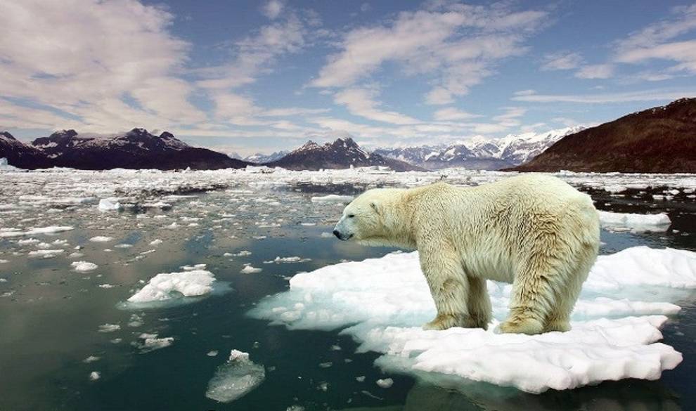 Un grupo de científicos advierte que el hielo marino del Ártico desaparecerá en 2035