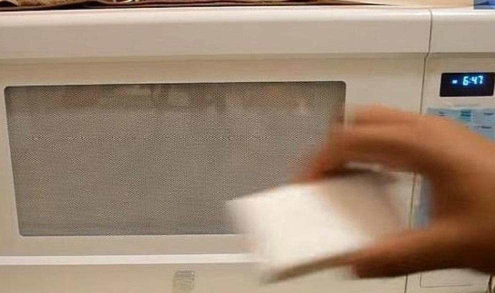 Por Qué Los Jóvenes Alemanes Están Metiendo Sus DNI En El Microondas