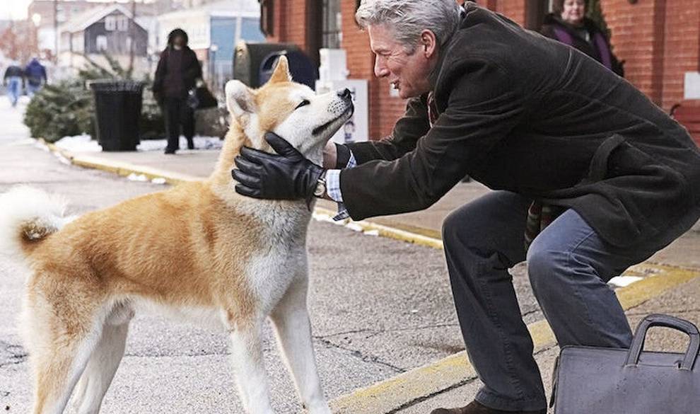 Así puedes ayudar a tu perro a superar la muerte de un ser querido