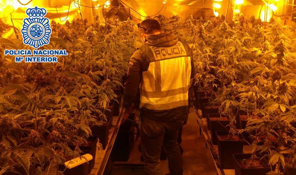 La marihuana que te fumas se cultiva en hogares arruinados por la crisis