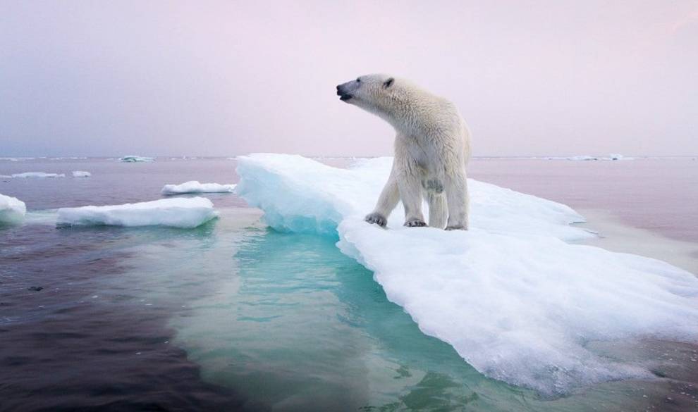 El cambio climático ha provocado que las corrientes marinas se descontrolen