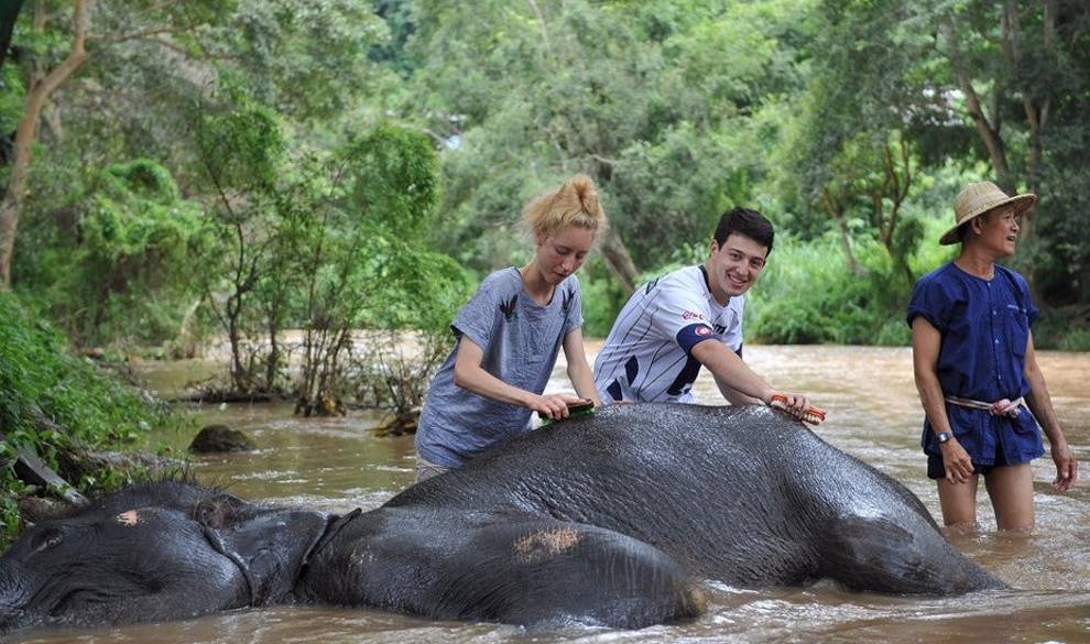 Estos son los mejores países si quieres ir a hacer un voluntariado con animales