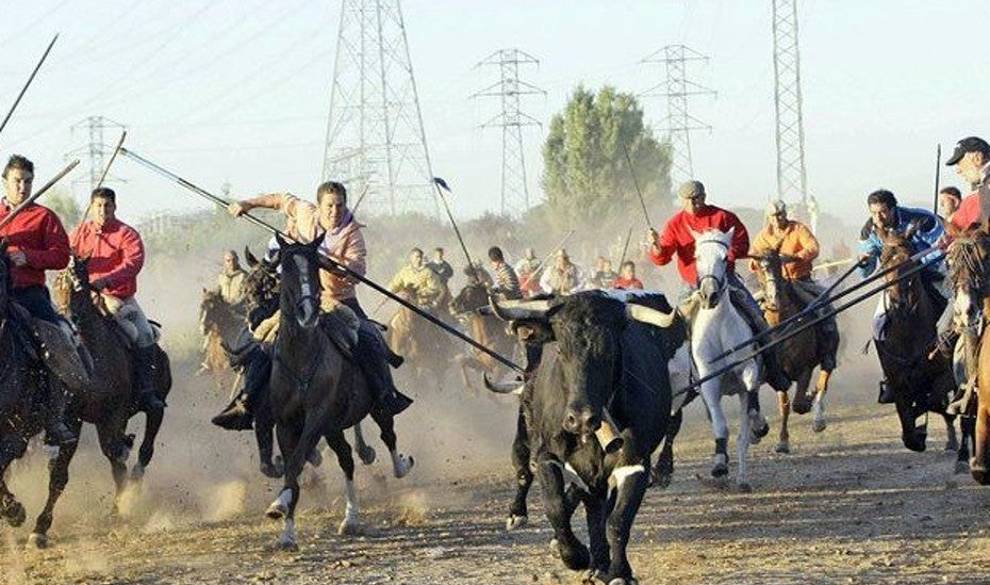 Por Qué No Se Deberían Matar Animales Por Diversión En Las Fiestas Mayores