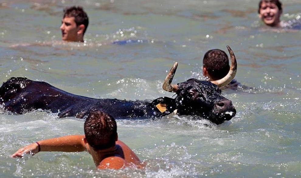 El calendario de tortura animal de este verano