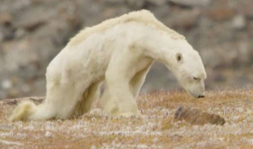 10 Efectos Del Cambio Climático A La Vuelta De La Esquina