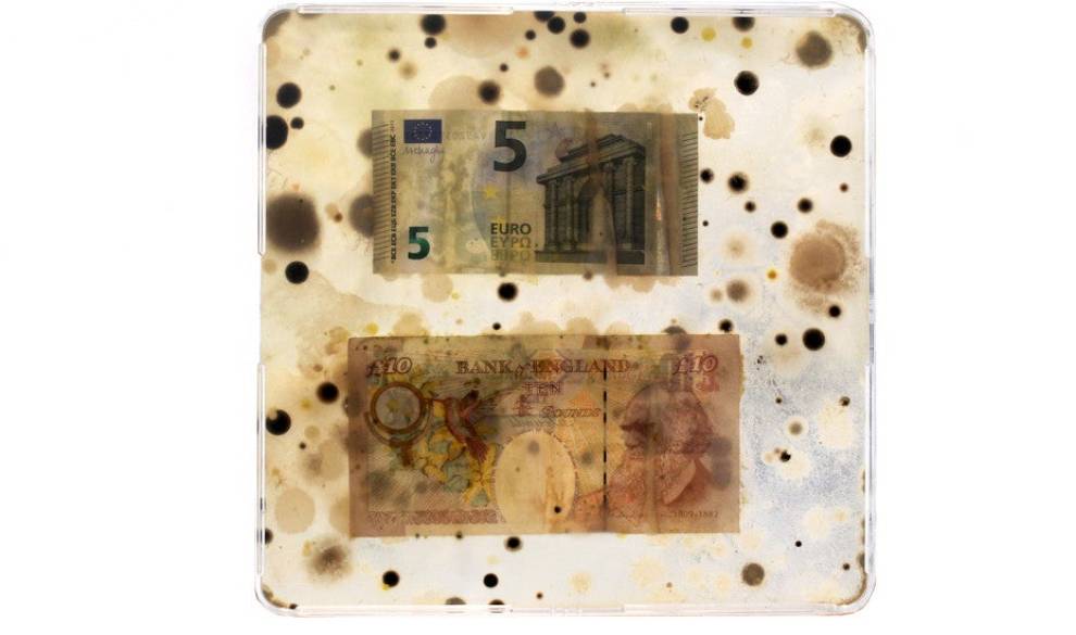 Este artista utiliza las bacterias de tus billetes para demostrar la crueldad de las fronteras