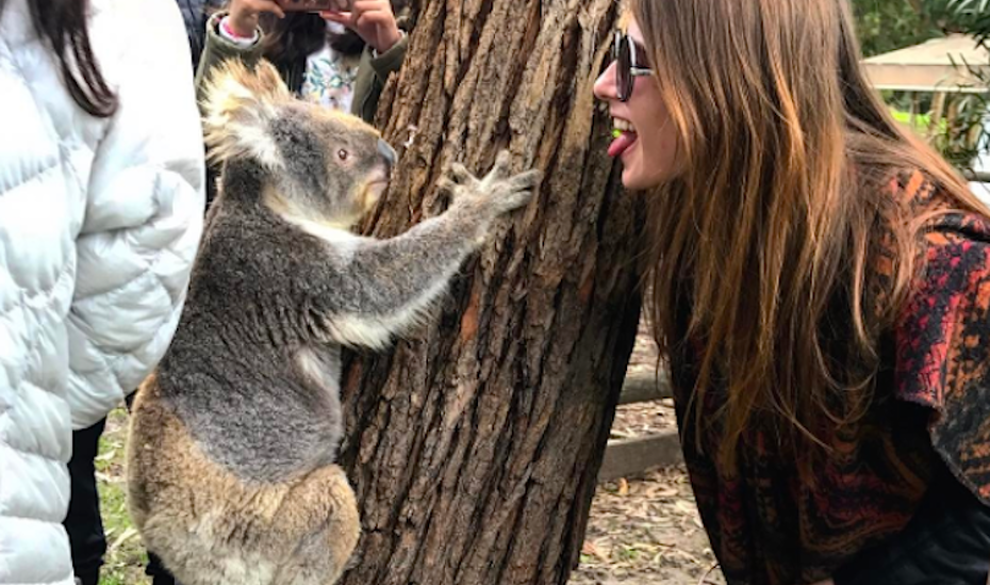Rutas mochileras por Australia que convertirán tu Instagram en una fábrica de ‘likes’