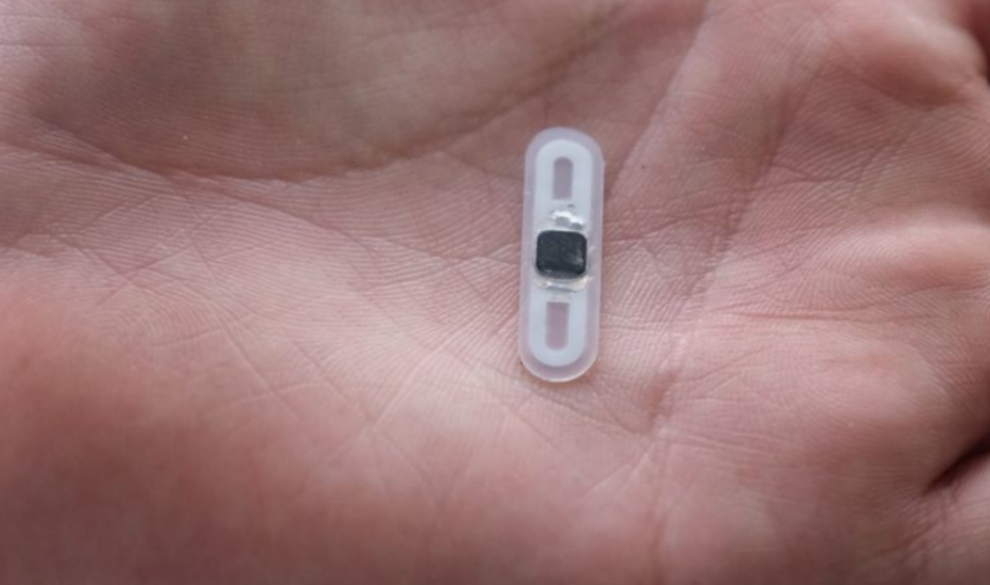 El último avance tecnológico: un microchip en tu mano para pagar