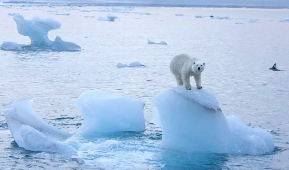 Parece haber un plan infalible para salvar el Ártico: el vidrio
