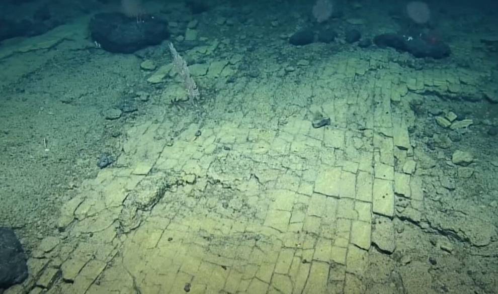 Descubren un camino de baldosas en las profundidades del Pacífico