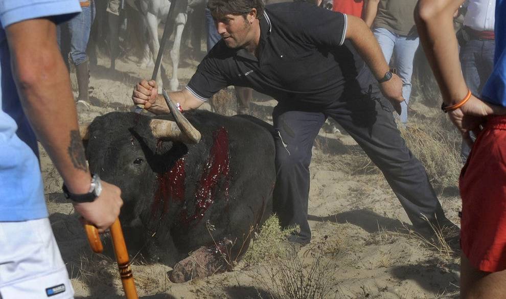 El Toro De La Vega: La Fiesta Nacional Más Controvertida