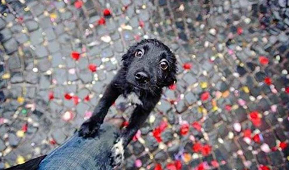 Por Qué Él Nunca Te Abandonaría