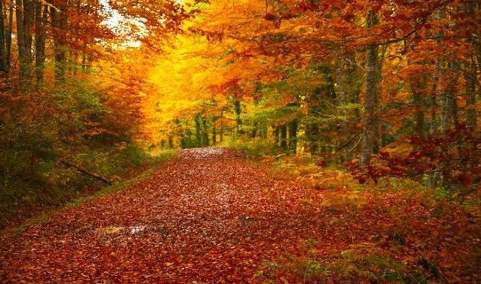 8 rutas de senderismo de ensueño para que te hagas fan del otoño
