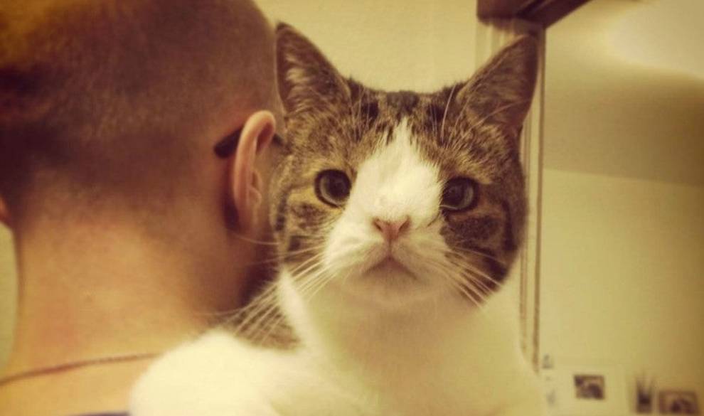 La Historia De Monty Y Su Carita Estrujable Le Han Convertido En El Rey De Internet