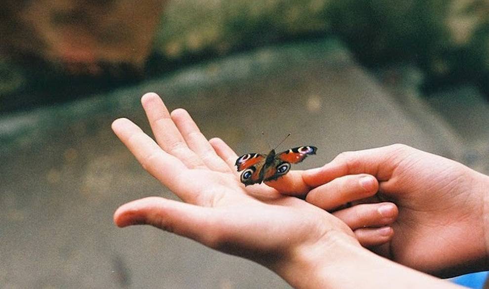Fotografía: La Vida Se Esconde Detrás De Cada Momento