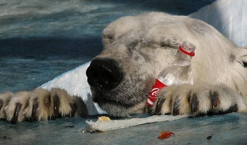 El nivel de contaminación plástica del Ártico bate su propio récord
