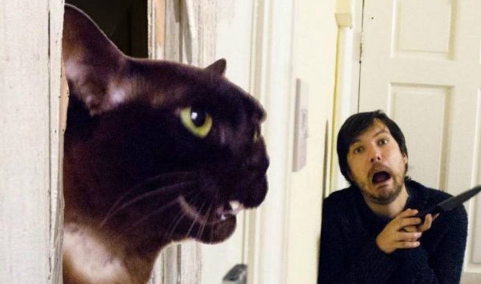 Este Tío Hace Con Su Gato Lo Más Brutal Que Hemos Visto En Años