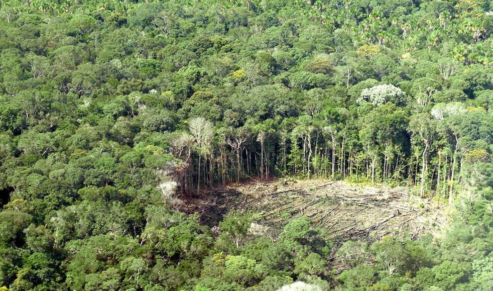 La deforestación de la Amazonia está cerca de ser 'irrecuperable' y Bolsonaro tiene la culpa