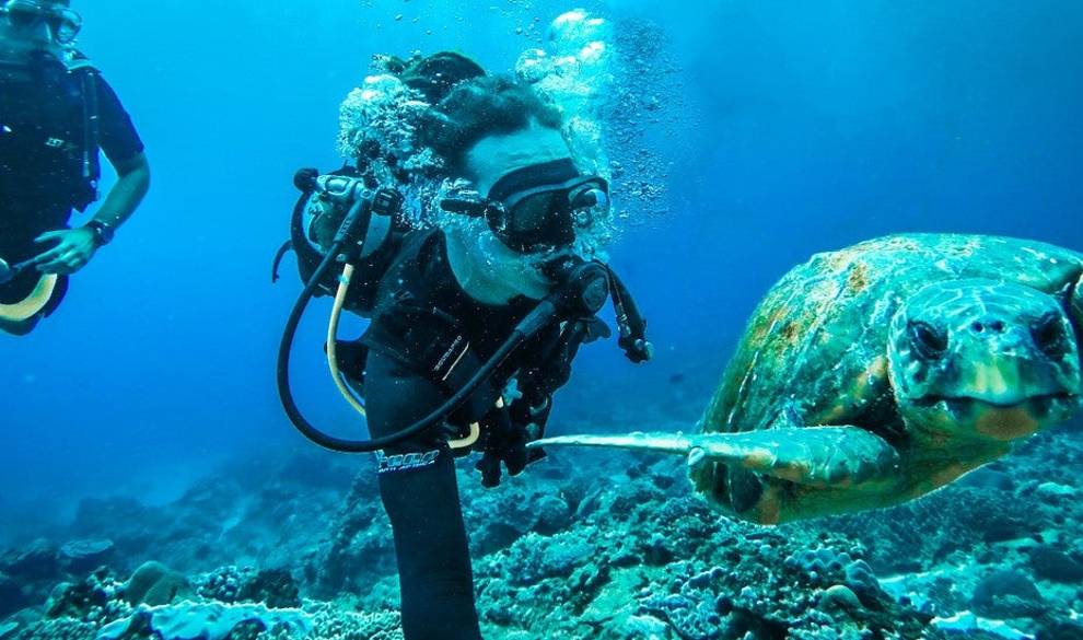 Cuando Te Sumerges En Los Océanos, El Pez Fuera Del Agua Eres Tú