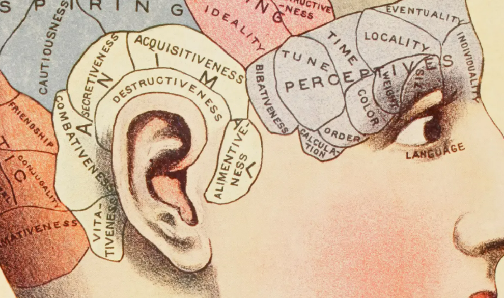 Por qué no deberías fiarte tanto de los tests de personalidad
