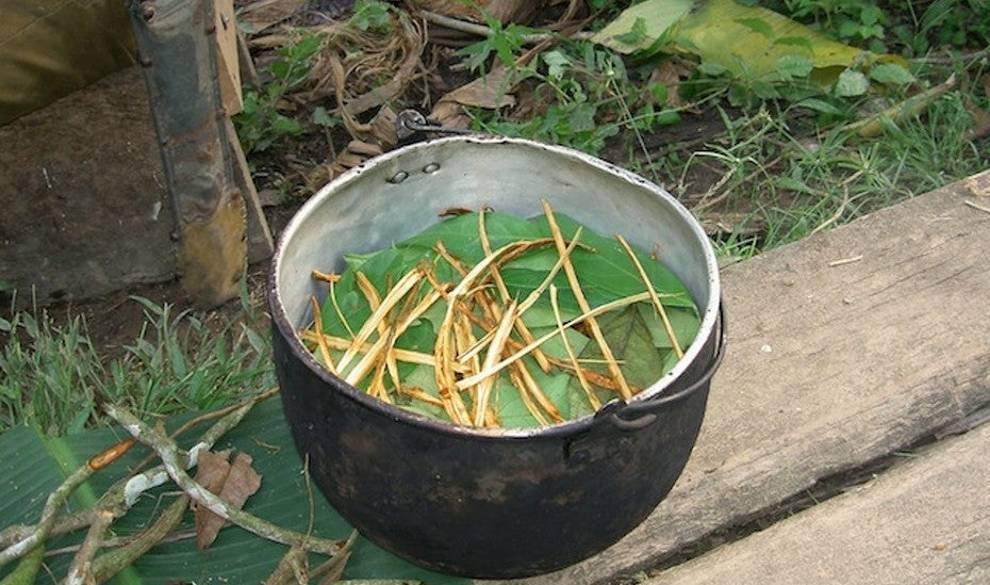 Un estudio revela que la ayahuasca podría ayudar a tratar la depresión