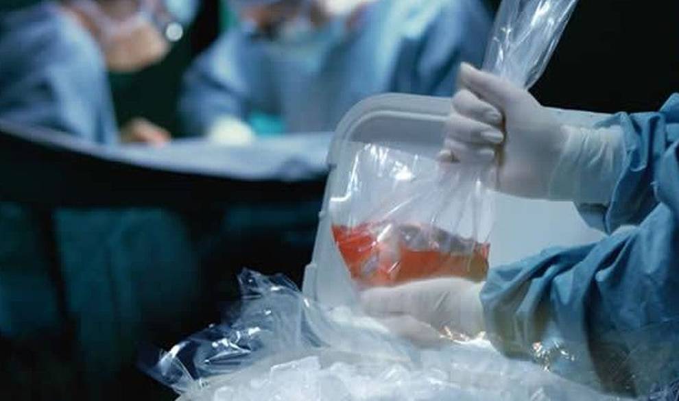 Cuando Un Gobierno Decide Obligarte Por Ley A Donar Tus Órganos