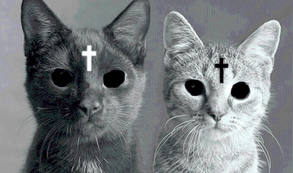 La ciencia lo confirma: tu gato planea matarte