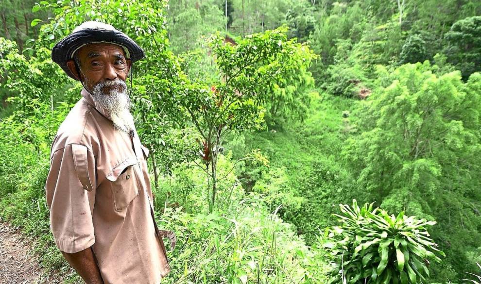 Sadiman: el hombre creó un paraíso verde en Indonesia
