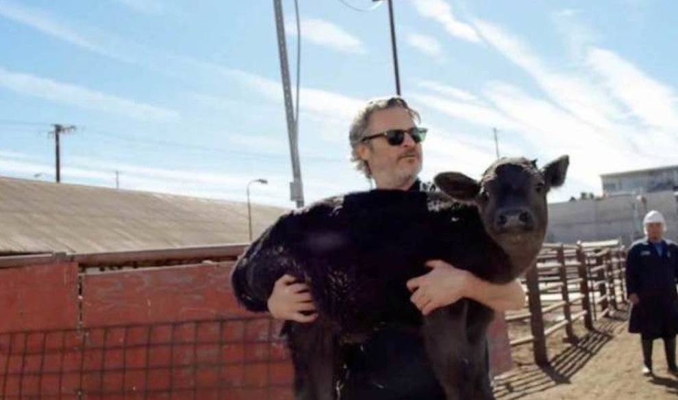 Joaquin Phoenix está haciendo una película sobre los sentimientos de los cerdos