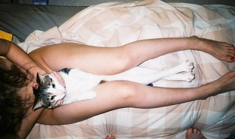 Creo que estoy enamorada de mi gato