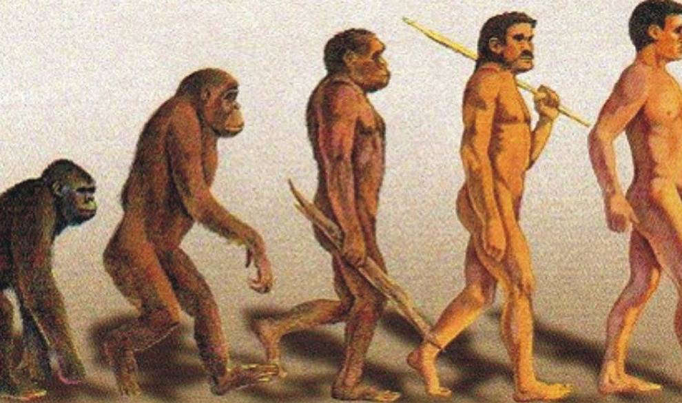Los Premios Darwin: Las Muertes Más Estúpidas De La Historia