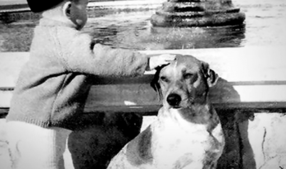 El perro Tarzán, el Hachikō español que enamoró a todo un pueblo con su fidelidad