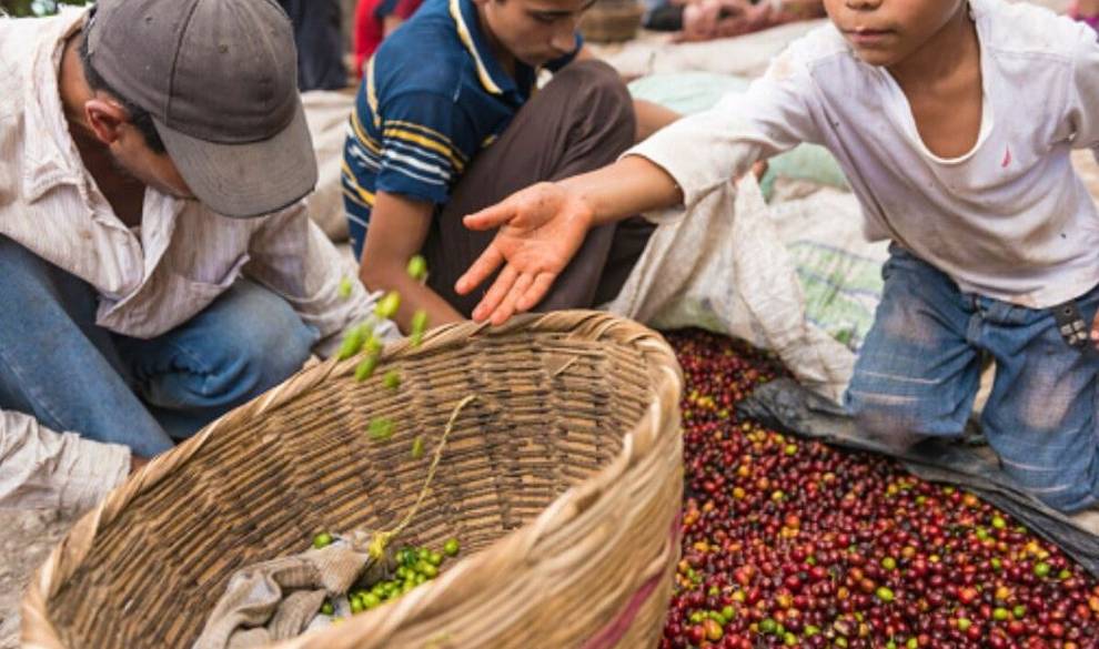 Esta startup te advierte que tomarse un café puede poner en peligro a millones de niños