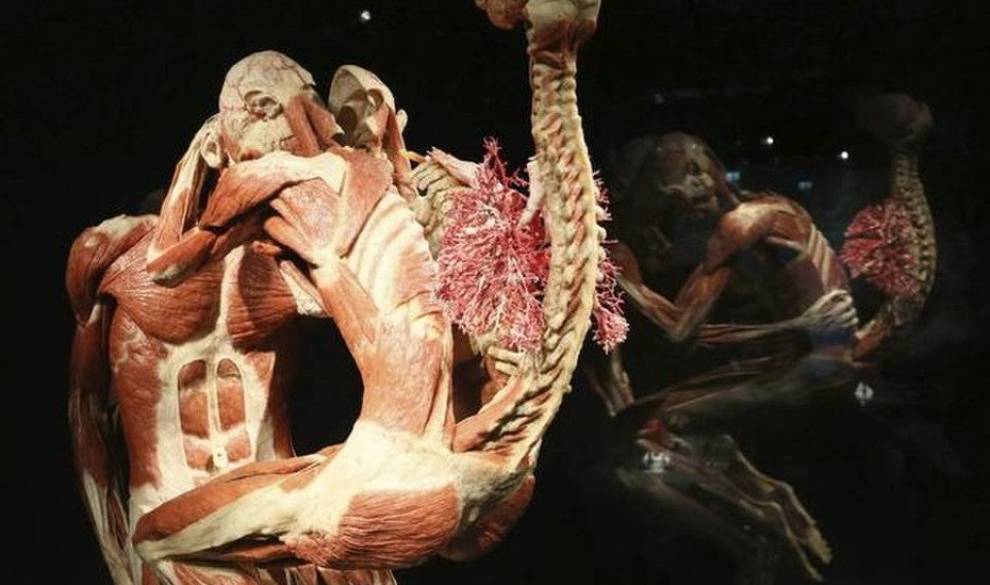 El museo que expone cadáveres humanos permanecerá abierto al público