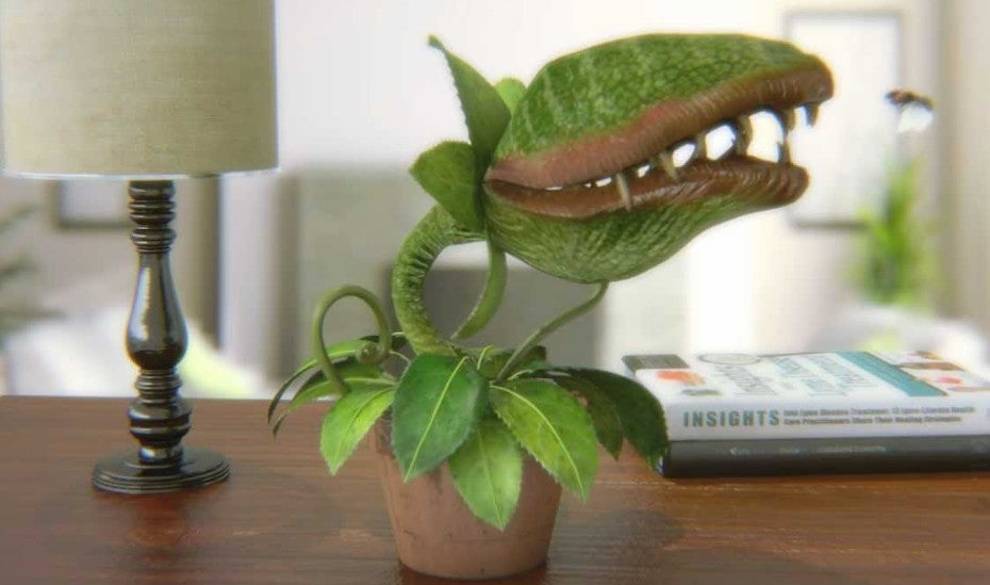 Te Independizas Y Tu Madre Te Regala Una Planta