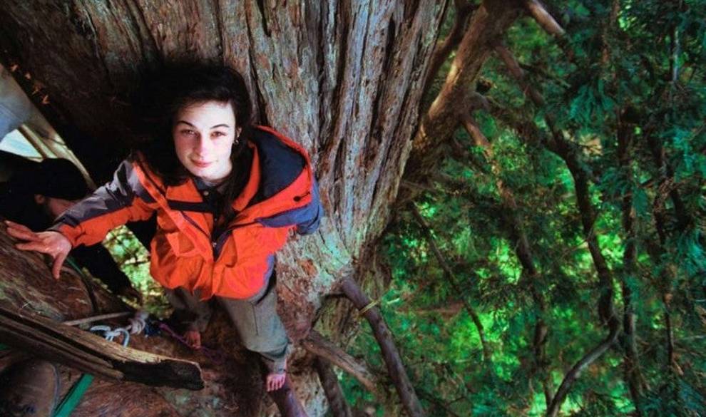 Viví en un árbol durante más de dos años para evitar que lo talaran