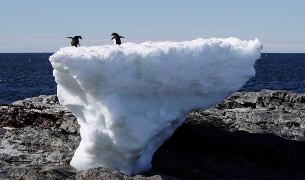 $!Two Adelie penguins stand atop a block of melting ice on a rocky shoreline at Cape Denison, Commonwealth Bay, in East Antarctica January 1, 2010. Russia and the Ukraine on November 1, 2013 again scuttled plans to create the world's largest ocean sanctuary in Antarctica, pristine waters rich in energy and species such as whales, penguins and vast stocks of fish, an environmentalist group said. The Commission for the Conservation of Antarctic Marine Living Resources wound up a week-long meeting in Hobart, Australia, considering proposals for two marine protected areas aimed at conserving the ocean wilderness from fishing, drilling for oil and other industrial interests. Picture taken January 1, 2010. To match story ANTARCTIC-ENVIRONMENT/ REUTERS/Pauline Askin (ANTARCTICA - Tags: ENVIRONMENT POLITICS ANIMALS) - RTX14WAT