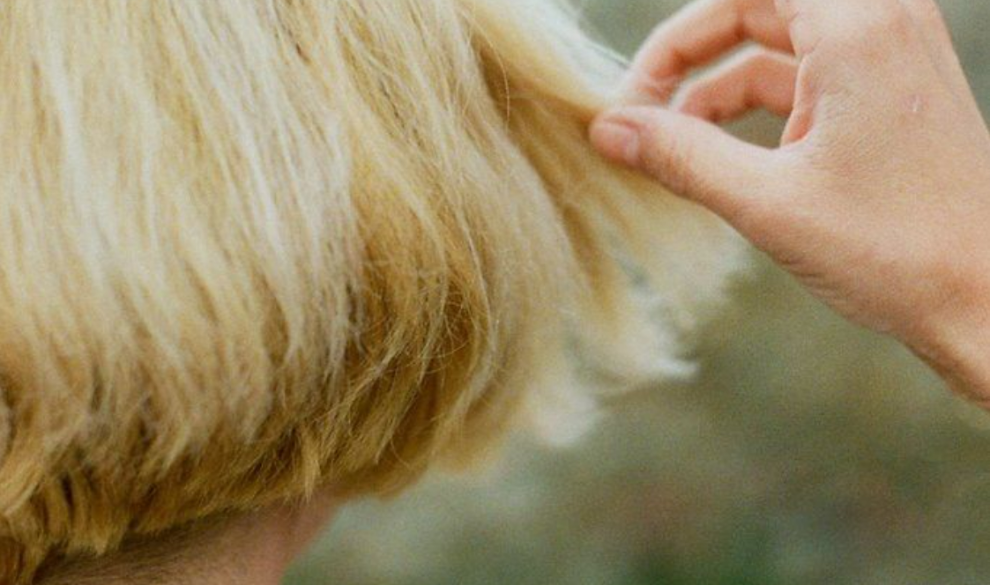 Esta es la pastilla que permite recuperar el 80% del cabello perdido