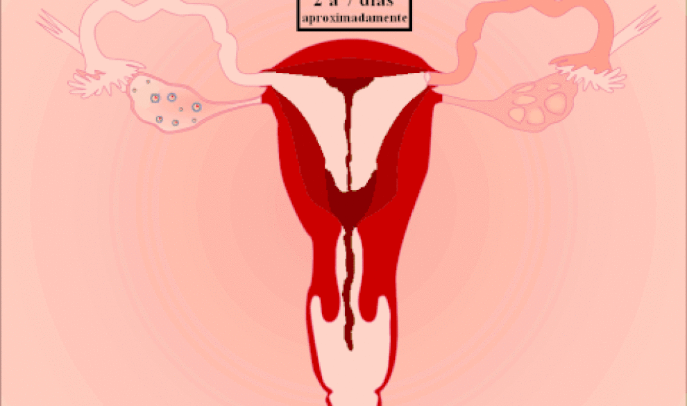 $!Lo que la sangre de tu menstruación te está diciendo sobre tu salud