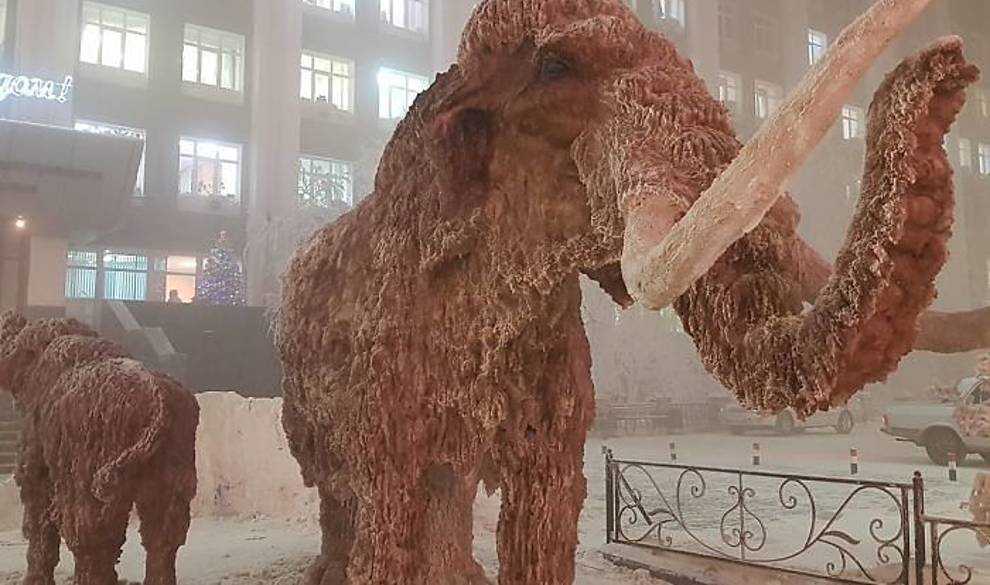 $!mamut-frio-codigo-nuevo